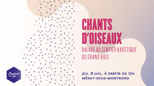 CHANTS D'OISEAUX